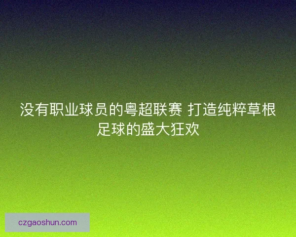 没有职业球员的粤超联赛 打造纯粹草根足球的盛大狂欢 没有职业球员的粤超联赛 打造纯粹草根足球的盛大狂欢