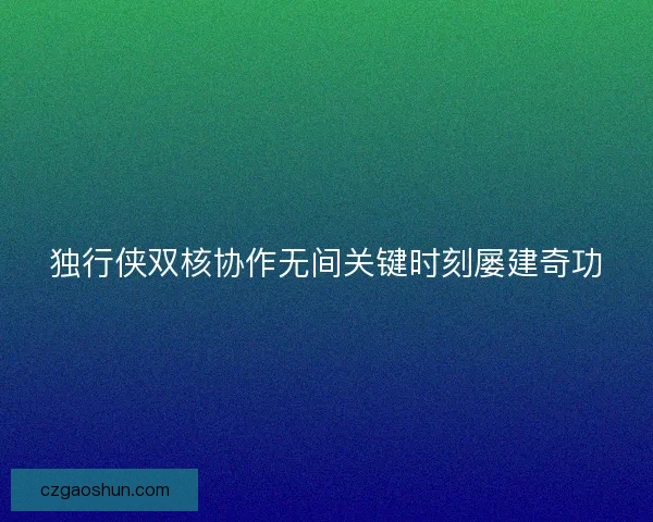 独行侠双核协作无间关键时刻屡建奇功 独行侠双核协作无间关键时刻屡建奇功